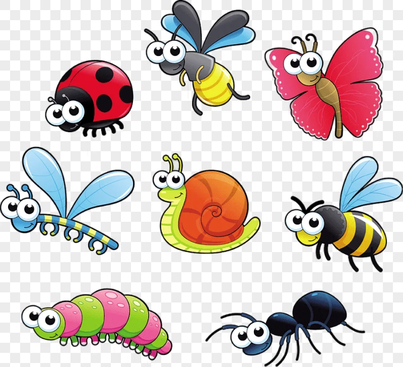 png clipart insect cartoon bugs animals insects