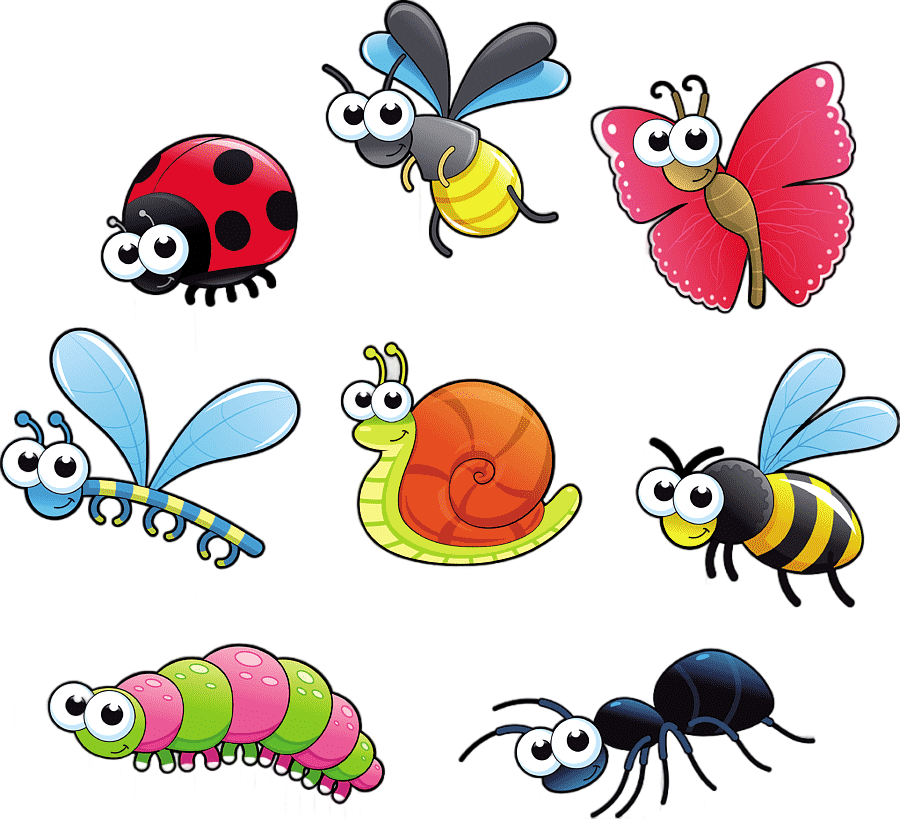 png clipart insect cartoon bugs animals insects