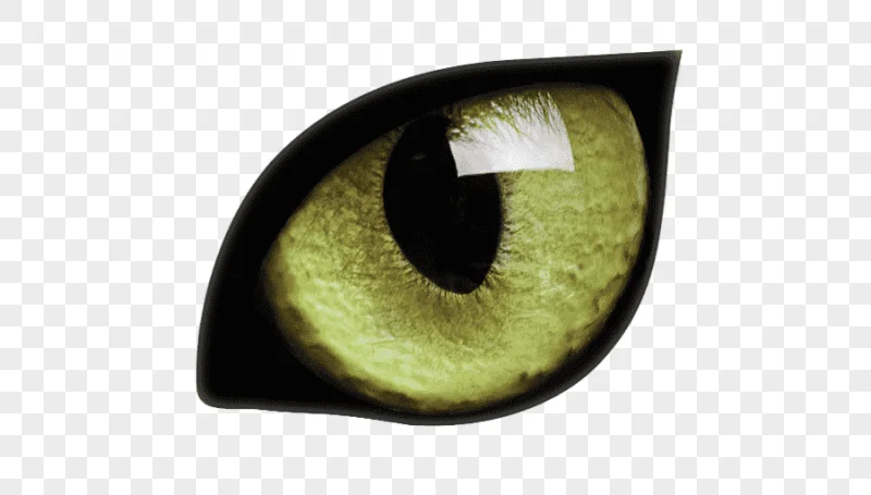 png clipart iris dog high dynamic range imaging close up gmbh demon dog animals eye