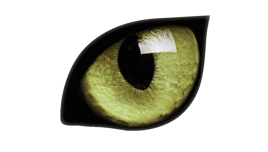 png clipart iris dog high dynamic range imaging close up gmbh demon dog animals eye