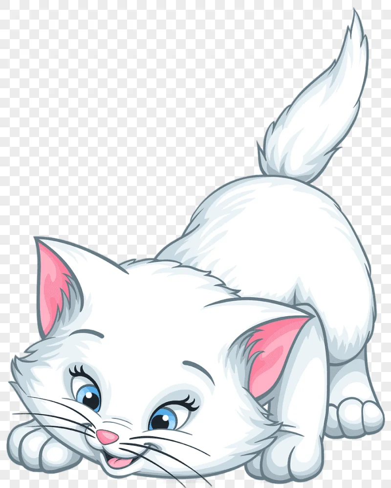 png clipart kitten cat whiskers marie cartoon white kitten cartoon white cat mammal face