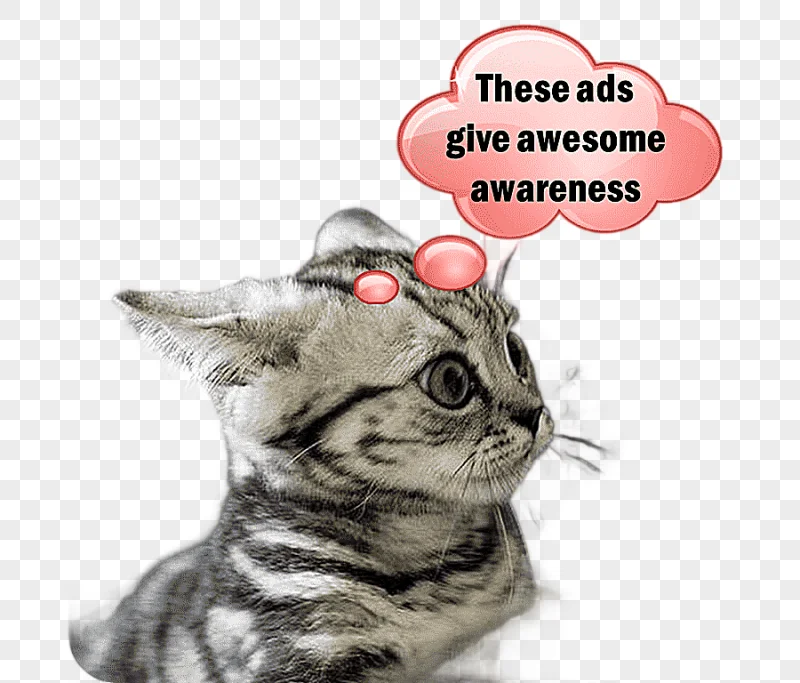 png clipart kitten lolcat cats and the internet funny animal kitten animals cat like mamma