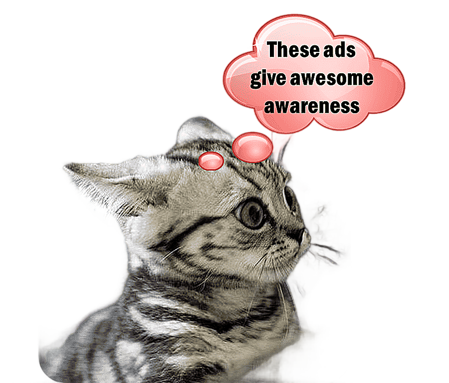 png clipart kitten lolcat cats and the internet funny animal kitten animals cat like mamma