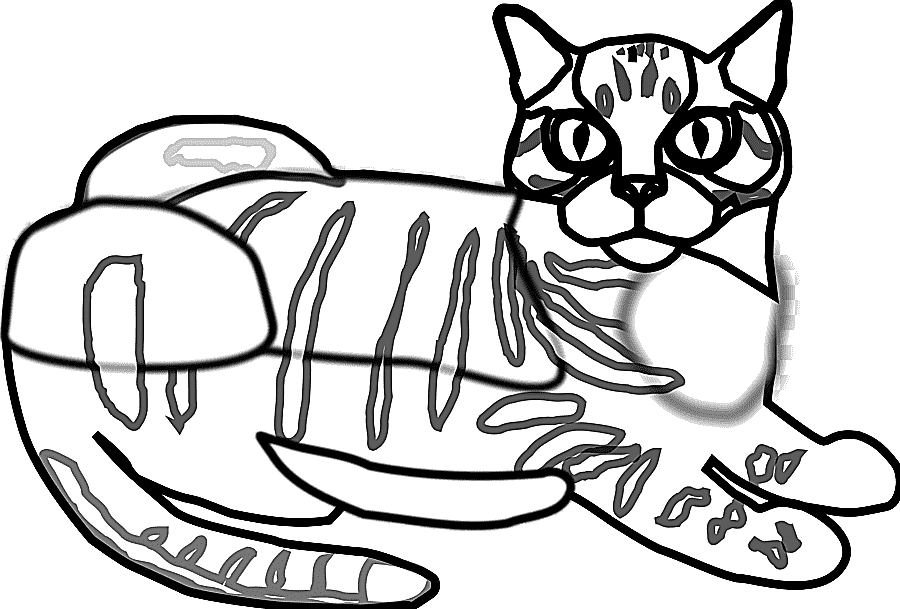 png clipart kitten whiskers cat coloring book dog tabby angle white