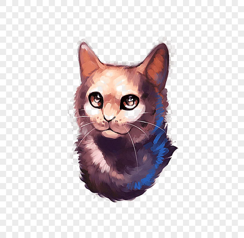 png clipart korat whiskers havana brown domestic short haired cat veterinarian cat cat lik