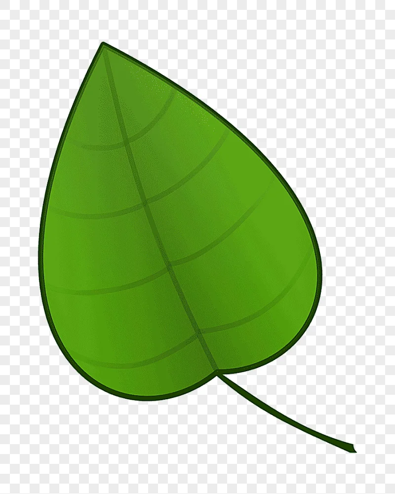 png clipart leaf cartoon animation green leaf leaf maple leaf