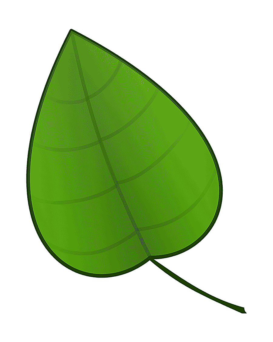 png clipart leaf cartoon animation green leaf leaf maple leaf
