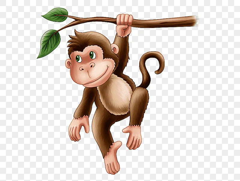 png clipart monkey primate carnivora animal animated cartoon monkey mammal animals