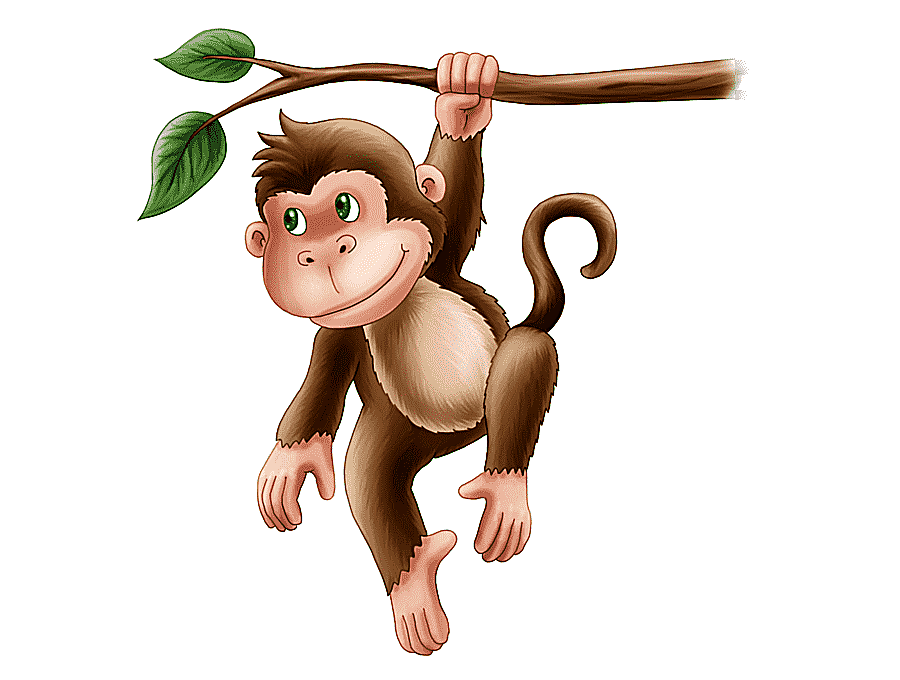 png clipart monkey primate carnivora animal animated cartoon monkey mammal animals