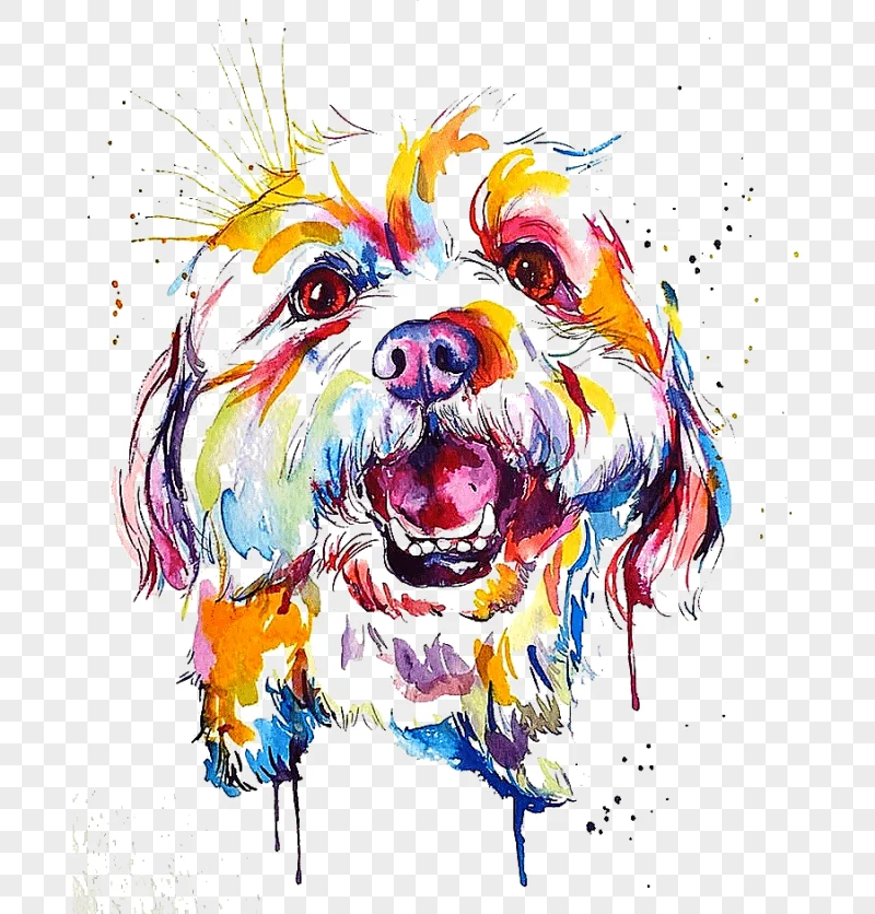 png clipart multicolored dog face illustration dog breed watercolor painting border collie