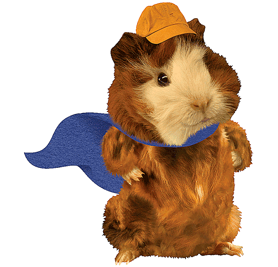 png clipart nickelodeon universe television show animation animated cartoon music guinea p