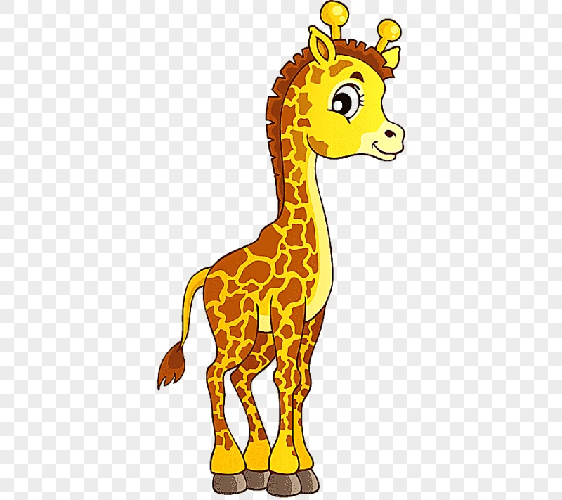 png clipart northern giraffe about giraffes animal coloring book cartoon giraffe cartoon c