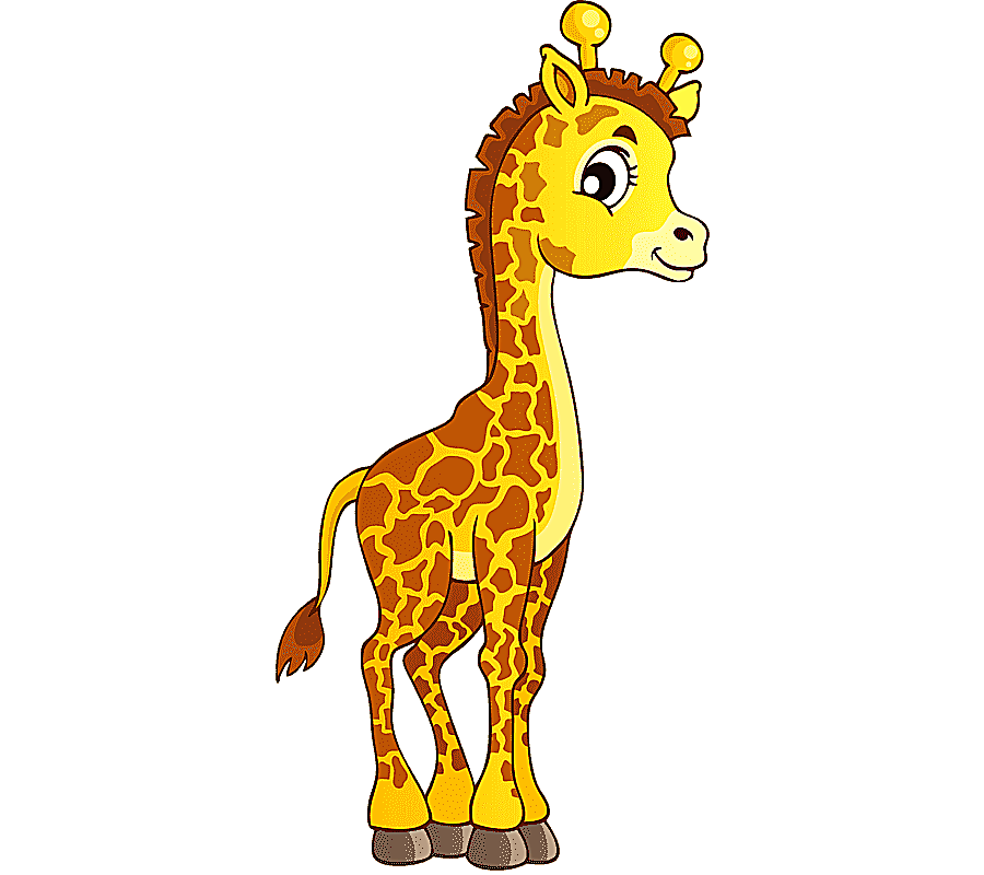 png clipart northern giraffe about giraffes animal coloring book cartoon giraffe cartoon c