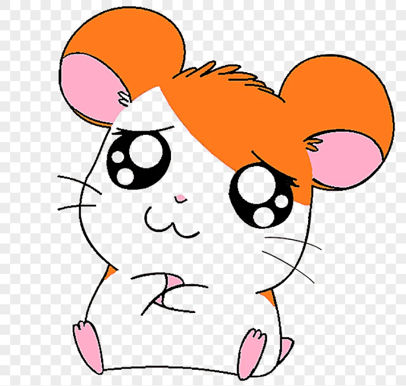 png clipart orange and white hamster illustration coloring book drawing chibi animation an