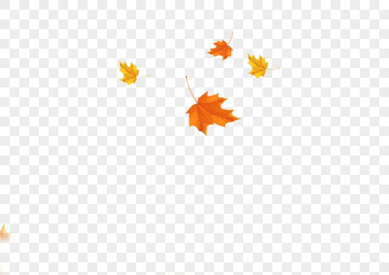 png clipart orange and yellow leaves autumn leaf fall maple leaves background watercolor l