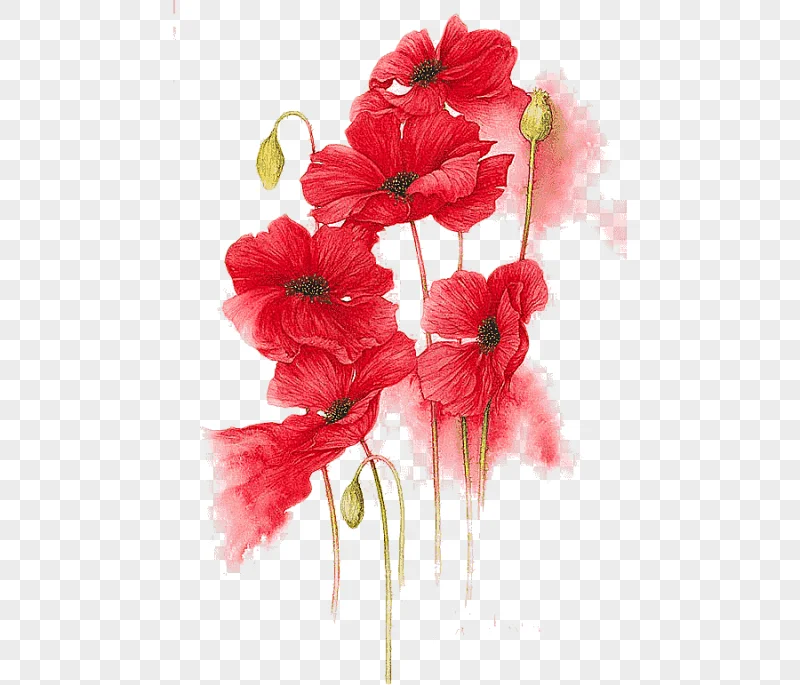 png clipart orange red yellow flower watercolor painting hand painted red flowers illustra