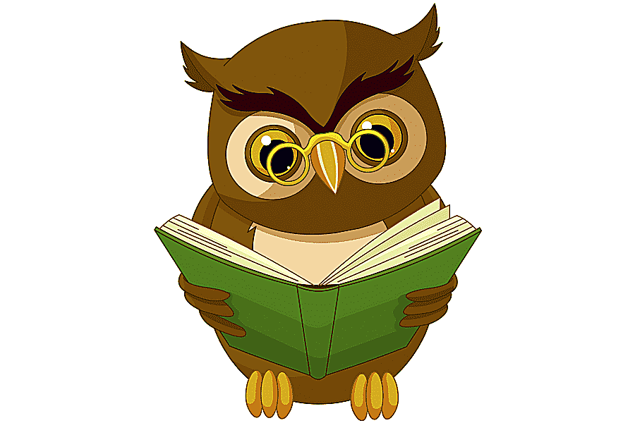 png clipart owl bird animation cartoon owl animals vertebrate