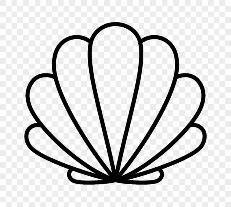 png clipart oyster seashell drawing cartoon white cartoon shells love cartoon character