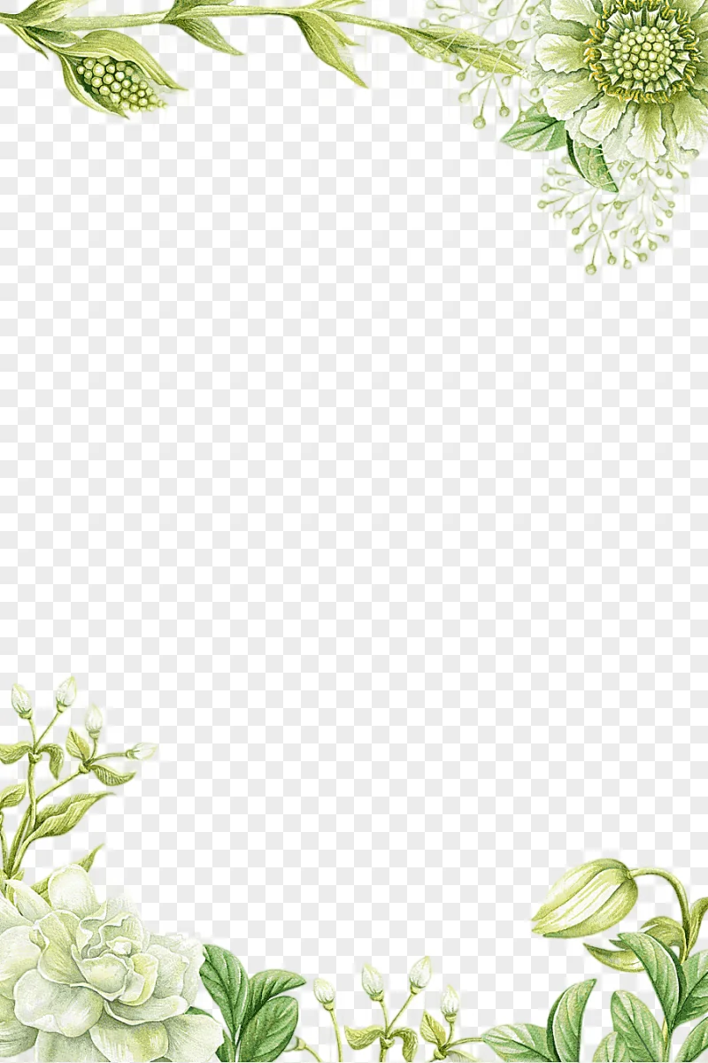 png clipart painting flower green hand painted flower borders white petaled flowers illust