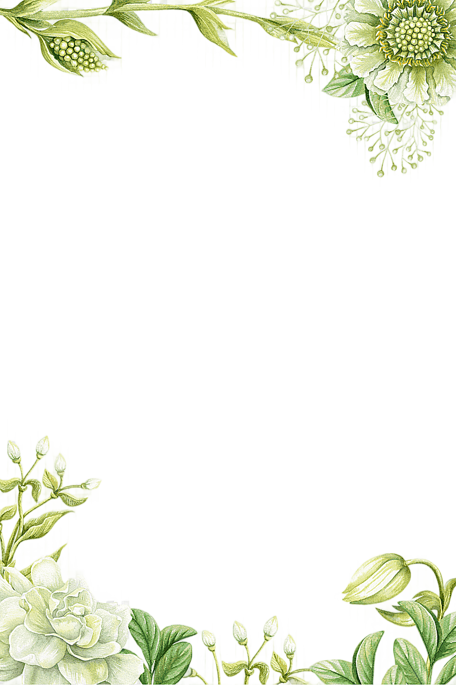 png clipart painting flower green hand painted flower borders white petaled flowers illust