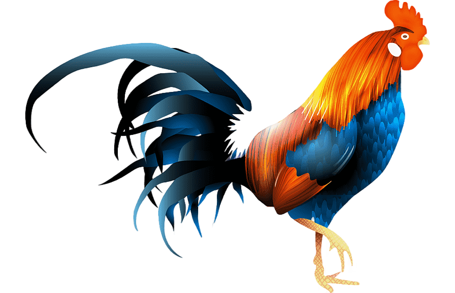 png clipart paper chicken chicken animals chicken