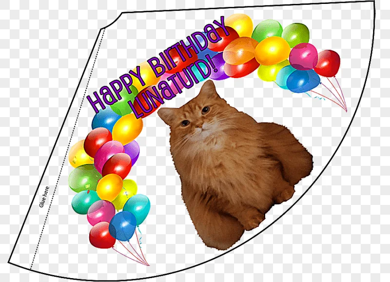 png clipart party hat birthday cap birthday hat holidays hat