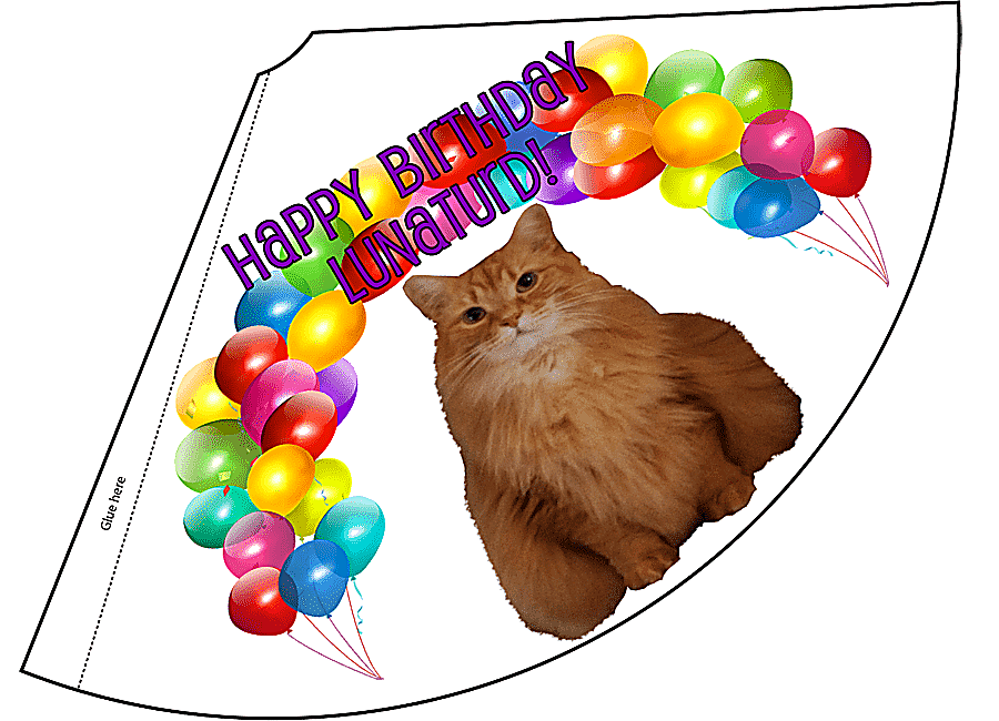 png clipart party hat birthday cap birthday hat holidays hat