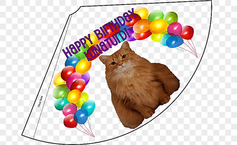 png clipart party hat cap birthday hat hat pet