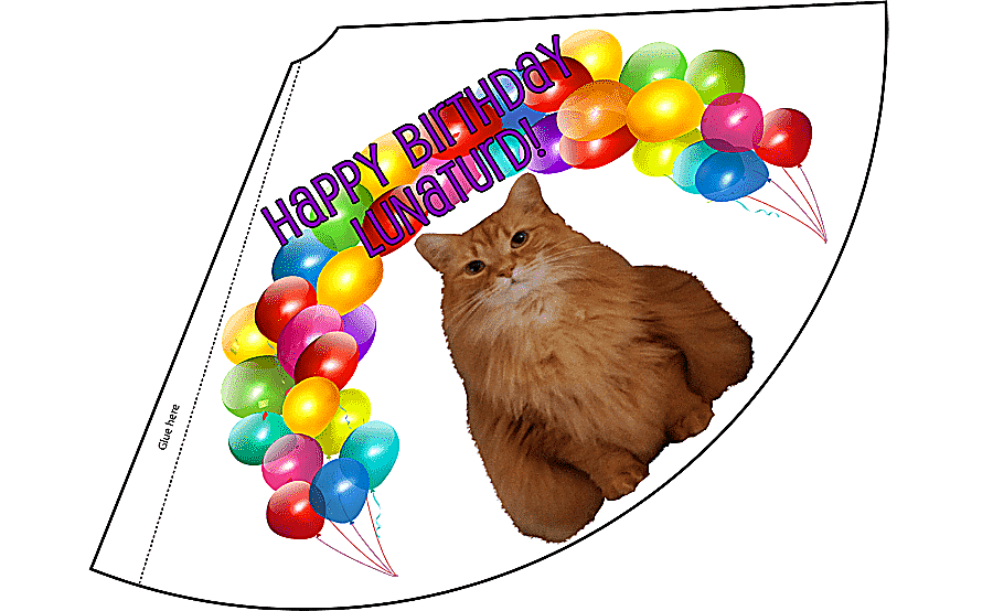 png clipart party hat cap birthday hat hat pet