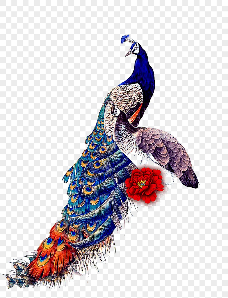 png clipart peafowl bird ipad mini samsung galaxy j7 glass classical peacock peacock and p