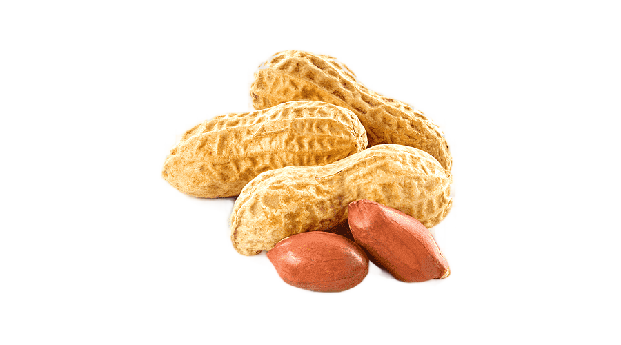 png clipart peanuts praline peanut butter and jelly sandwich brittle peanut s food peanut