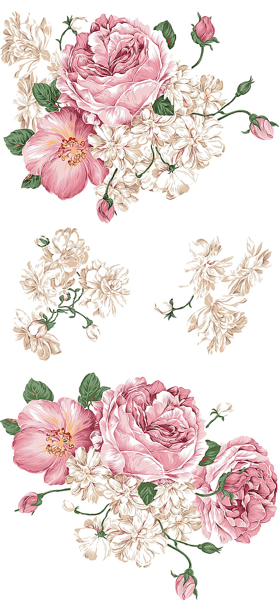 png clipart peony drawing painting hand painted peony pink and white flowers watercolor pa