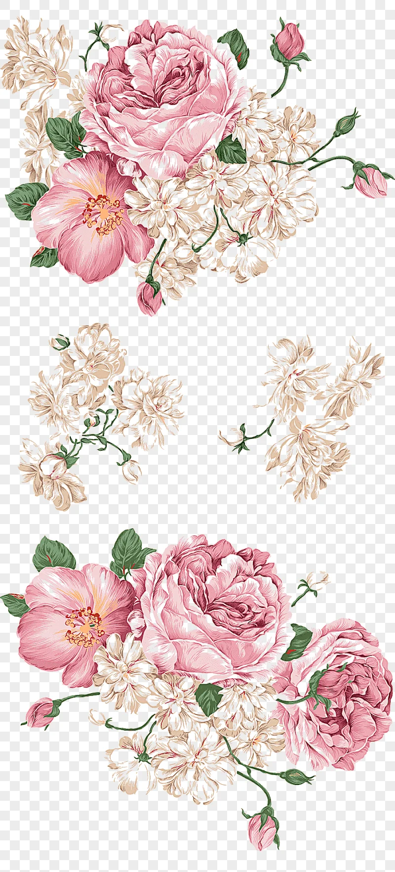 png clipart peony drawing painting hand painted peony pink and white flowers watercolor pa