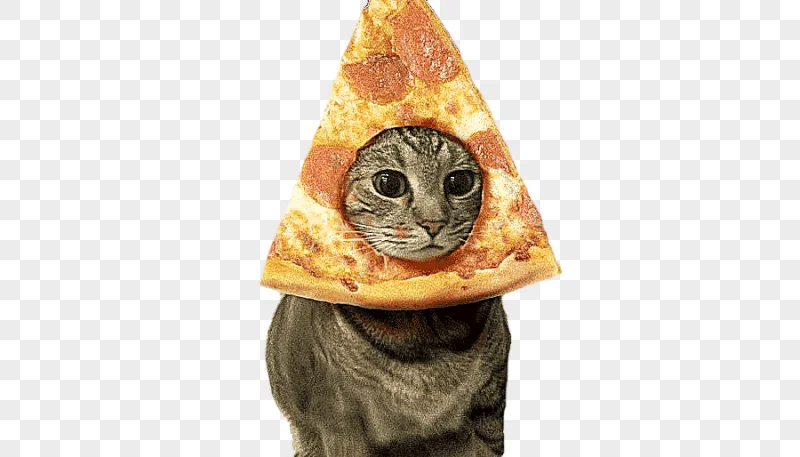 png clipart persian cat pizza kitten lolcat pusheen pizza cat like mammal meme