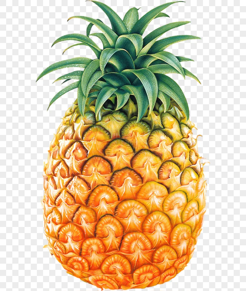 png clipart pineapple fruit pineapple fruit pineapple free natural foods food