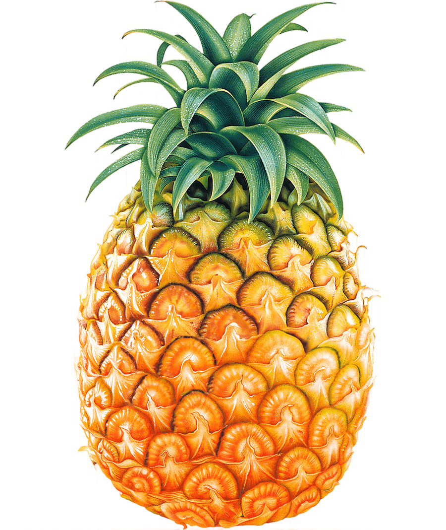 png clipart pineapple fruit pineapple fruit pineapple free natural foods food