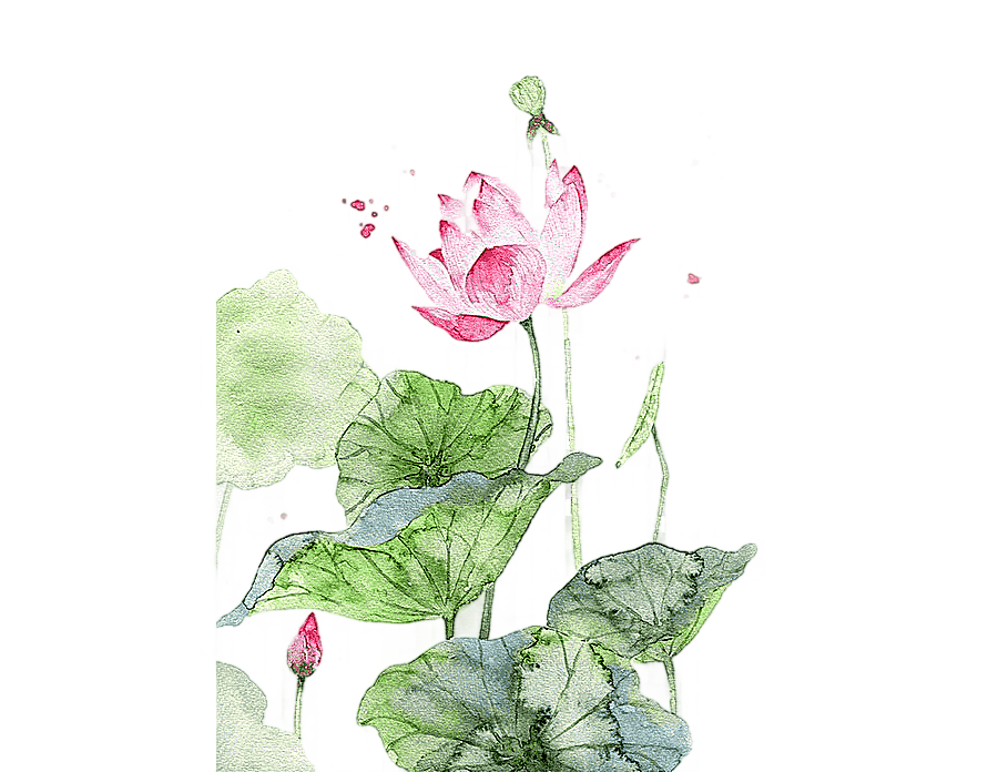png clipart pink lotus flower watercolor painting watercolor painting watercolour flowers