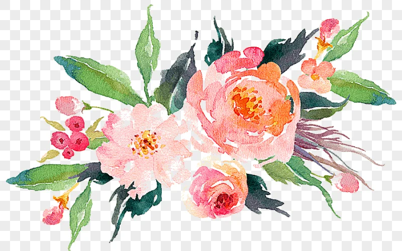 png clipart pink petaled flowers illustration watercolour flowers watercolor painting art