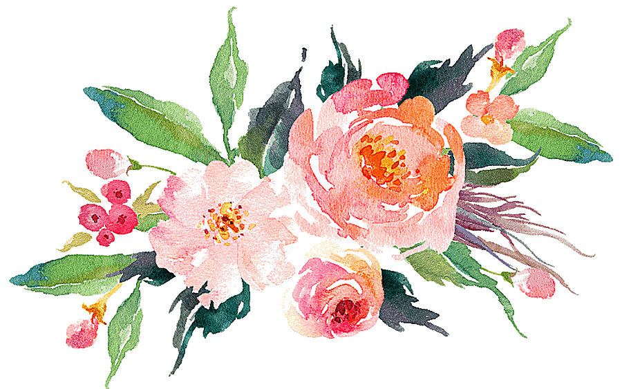 png clipart pink petaled flowers illustration watercolour flowers watercolor painting art