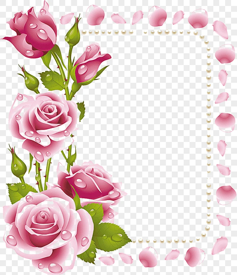 png clipart pink rose rose flower frames pink fuchsia frame flower arranging pin