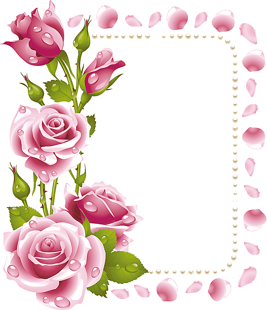png clipart pink rose rose flower frames pink fuchsia frame flower arranging pin