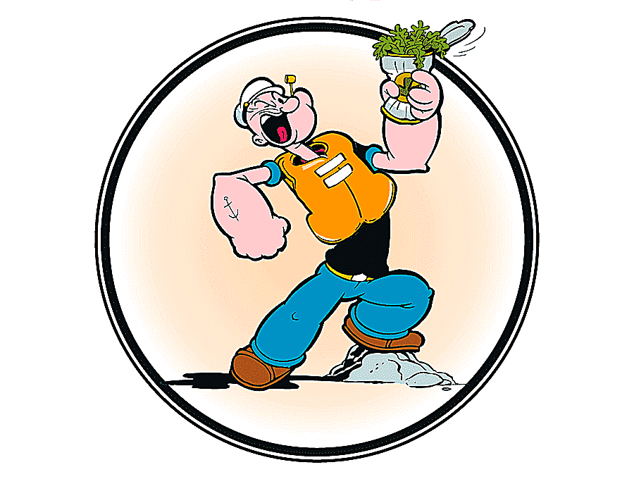 png clipart popeye olive oyl animated cartoon character popeye comics food