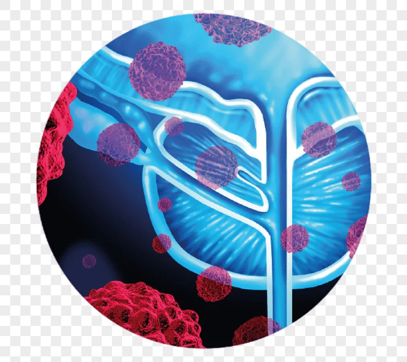 png clipart prostate cancer prostate specific antigen metastasis medical imaging von wille