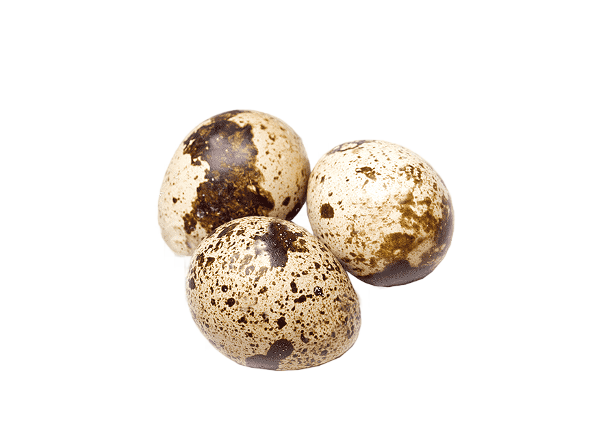 png clipart quail eggs quail eggs chicken common quail egg food breakfast
