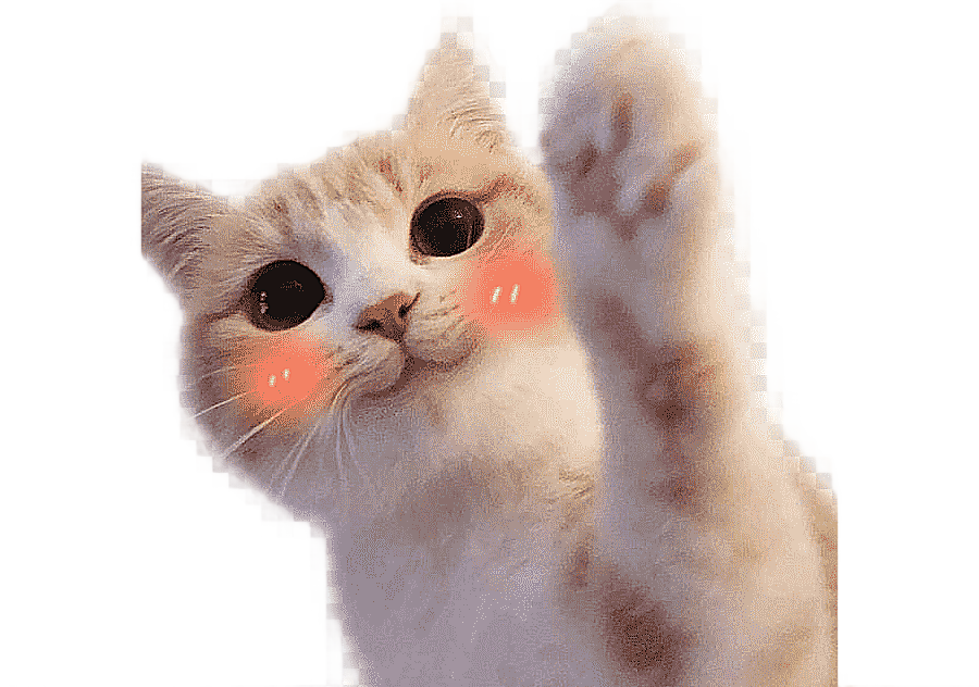 png clipart ragdoll kitten hello kitty cat food mouse cute cat blush expression bag cat li