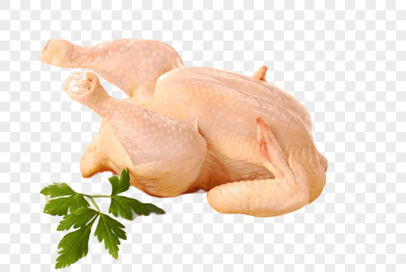 png clipart raw foodism chicken as food meat chicken food animals