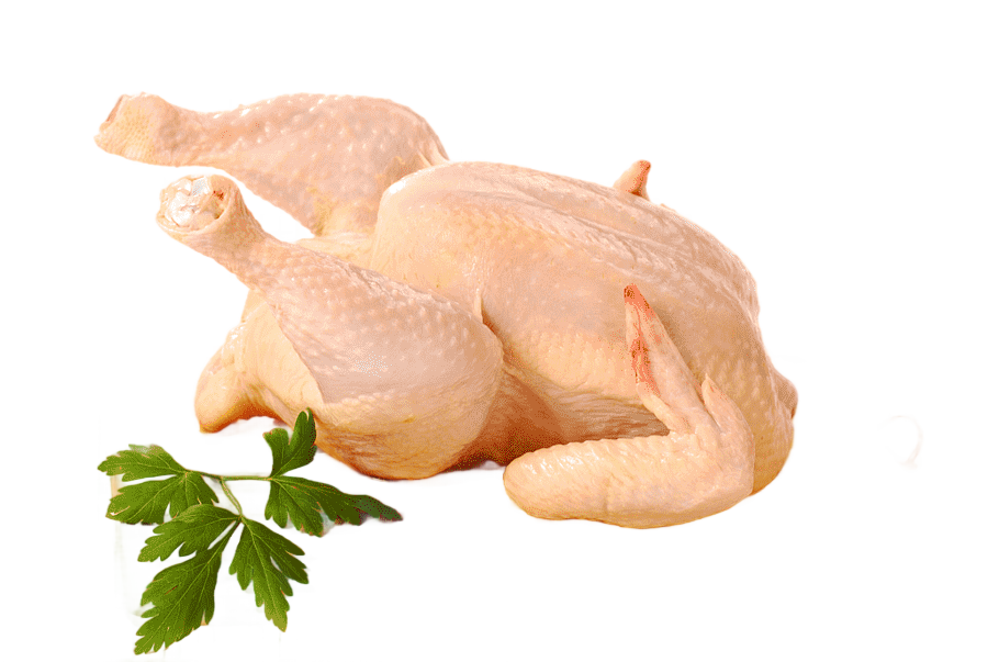 png clipart raw foodism chicken as food meat chicken food animals