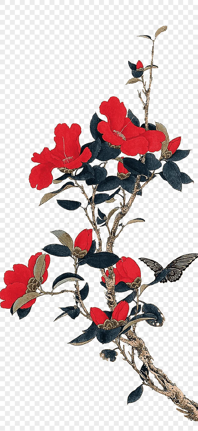 png clipart red flowers illustration chinese painting gongbi bird and flower painting earl