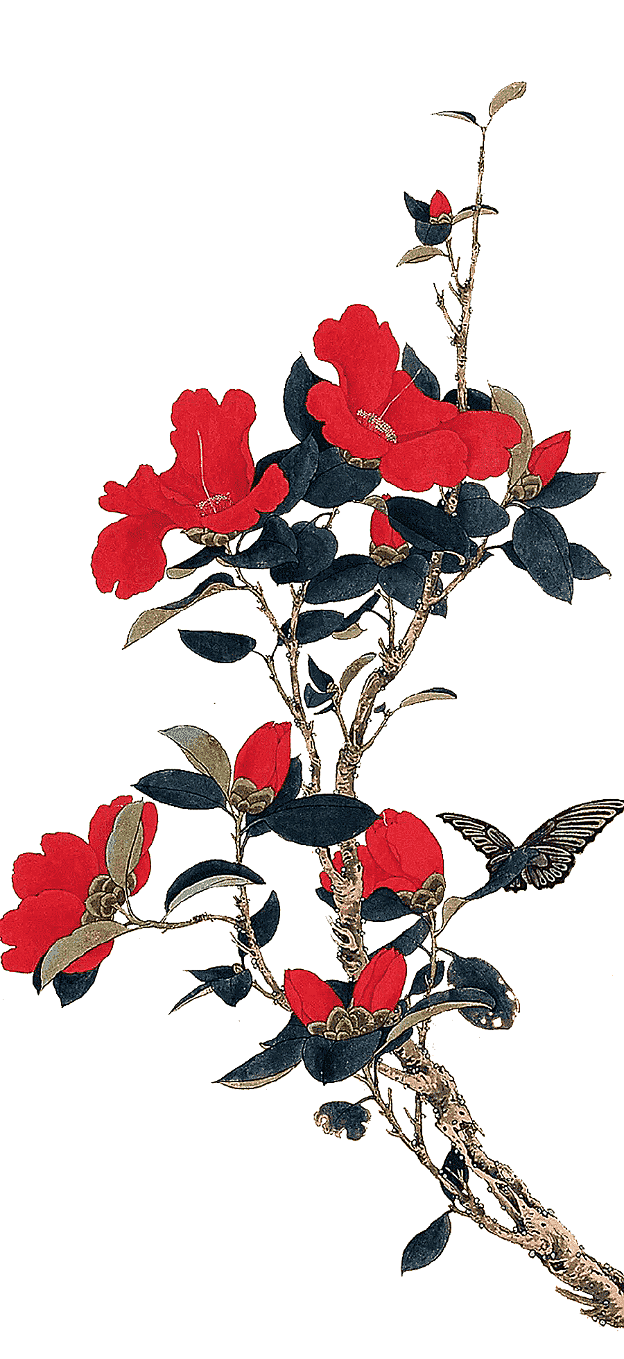 png clipart red flowers illustration chinese painting gongbi bird and flower painting earl
