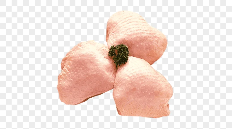 png clipart ribs chicken leg buffalo wing chicken meat chicken food animals